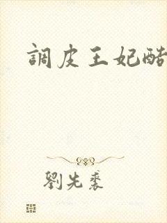 调皮王妃酷王爷封面