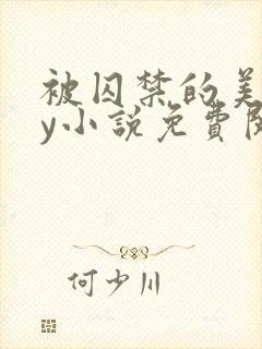 被囚禁的美人by小说免费阅读封面