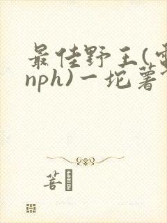 最佳野王(电竞nph)一坨薯饼