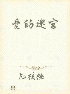 爱的迷宫