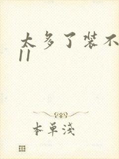 太多了装不下H11