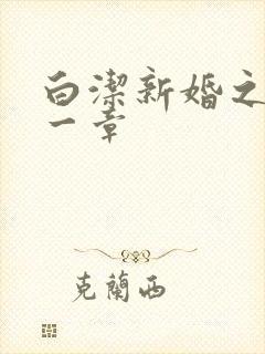 白洁新婚之夜第一章