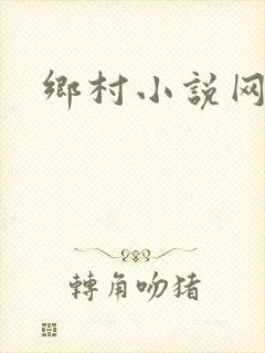 乡村小说网封面