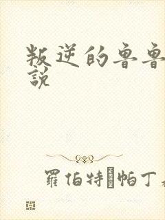 叛逆的鲁鲁修小说