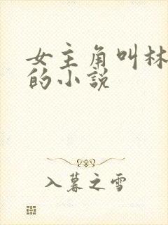 女主角叫林清雅的小说