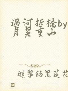 过河拆桥by江月晃重山封面