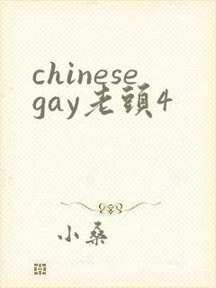 chinesegay老头4