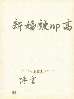 新婚被np高h