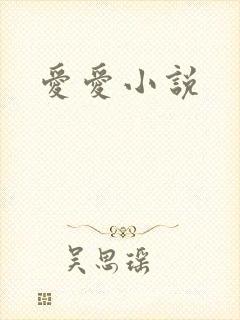 爱爱小说封面