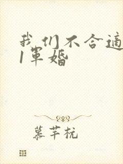 我们不合适1v1军婚封面