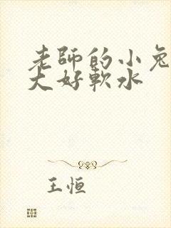 老师的小兔子好大好软水封面