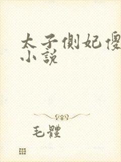 太子侧妃傻乎乎小说