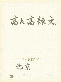 高h高辣文封面