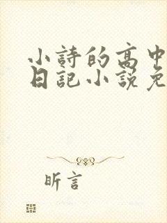 小诗的高中成长日记小说免费阅读