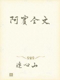 阿宾全文