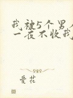 我被5个男人躁一夜不收我怎么办封面