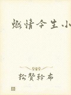 燃情今生小说