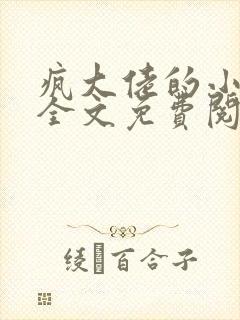 疯大佬的小玩物全文免费阅读小说