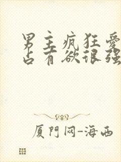 男主疯狂爱女主占有欲很强的小说