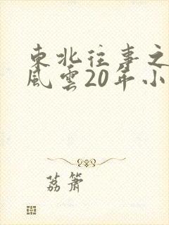 东北往事之黑道风云20年小说