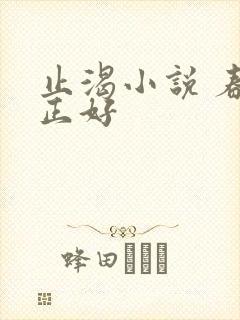 止渴小说 春光正好封面