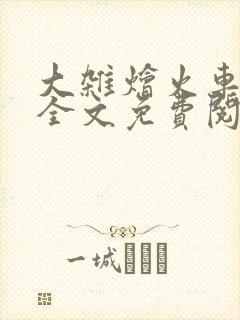 大杂烩火车小说全文免费阅读