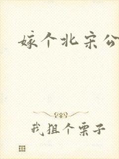 嫁个北宋公务员