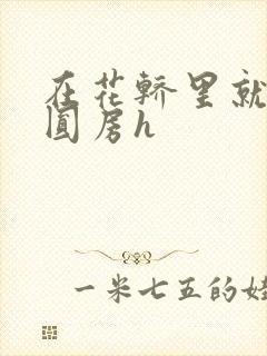 在花轿里就开始圆房h封面