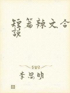 短篇辣文合集小说