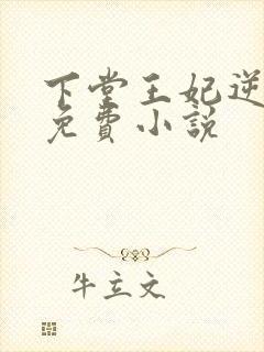 下堂王妃逆袭记免费小说