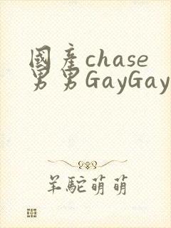 国产chase男男GayGay