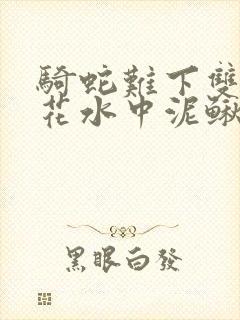 骑蛇难下双金银花水中泥鳅封面