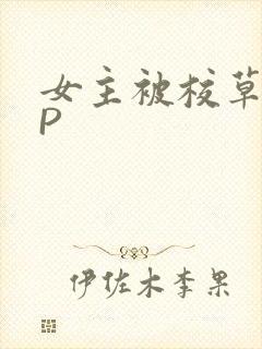 女主被校草们NP