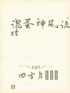 混蛋神风流史txt