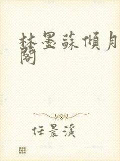 林墨苏倾月笔趣阁