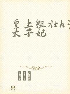 皇上粗壮h灌满太子妃