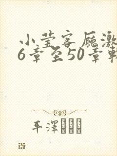 小莹客厅激情46章至50章软件介绍