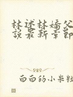 林述林娇父女小说最新章节更新