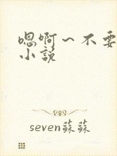 嗯啊～不要啊h小说