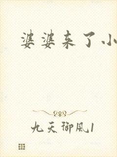 婆婆来了小说封面