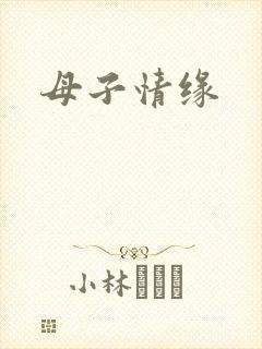 母子情缘封面