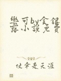 乐可by金银花露小说免费阅读