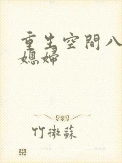 重生空间八零小媳妇