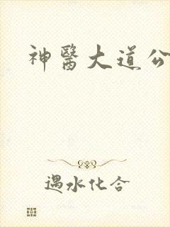 神医大道公2封面