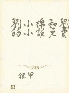 刘小棉和刘易文的小说免费阅读