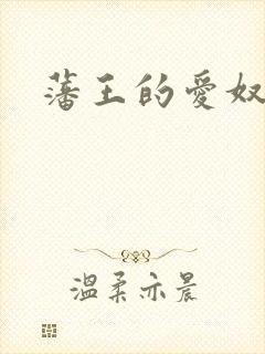 藩王的爱奴封面