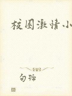 校园激情小说封面