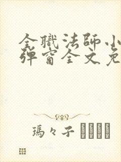 全职法师小说无弹窗全文免费阅读