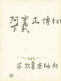 阿宾正传txt下载
