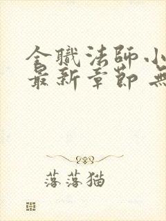 全职法师小说 最新章节 无弹窗